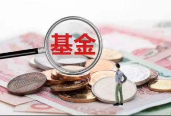 债券基金份额一天大跌10% 到底发生了什么了吗？